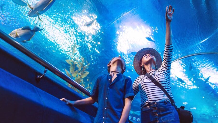 Así es el BIOPARC de Gijón, un Acuario accesible para personas con discapacidad​