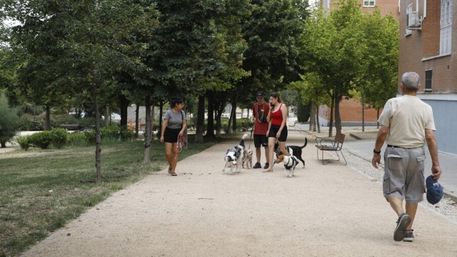 El parque La Viña de Entrevías, en Madrid, será más accesible para las personas con discapacidad​