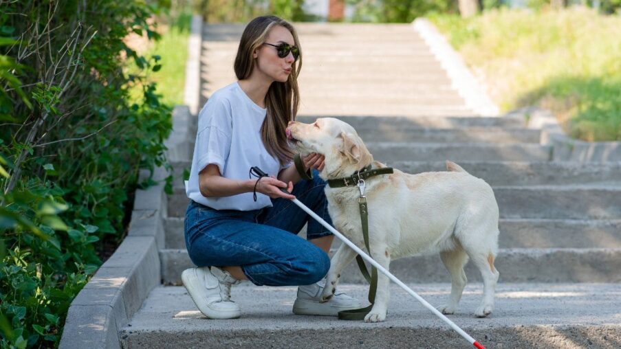 Andalucía anuncia una nueva deducción fiscal para personas que convivan con un perro de asistencia​